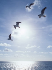 新島ガラスアート印鑑と専用スタンププレートです。新感覚印章アイテム!オリーブグリーンノ美しさが映える!